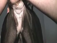 Man fucks female dog